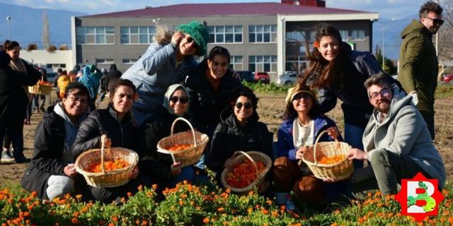BAÇEM aromatik bitki yetiştiriciliği öğretiyor