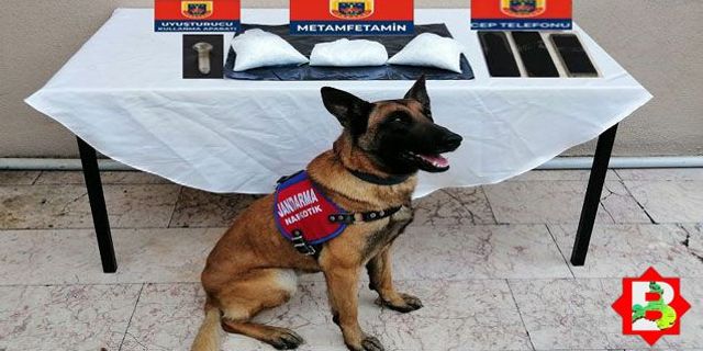 Jandarma narkotik köpeğinden bingo