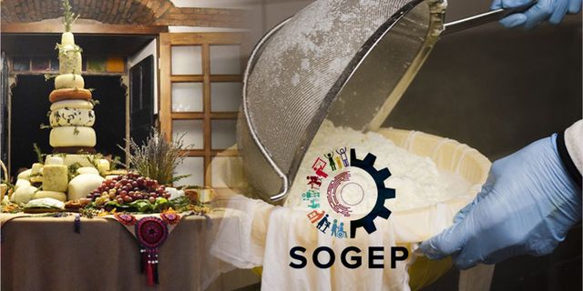 Balıkesir peynirine SOGEP desteği