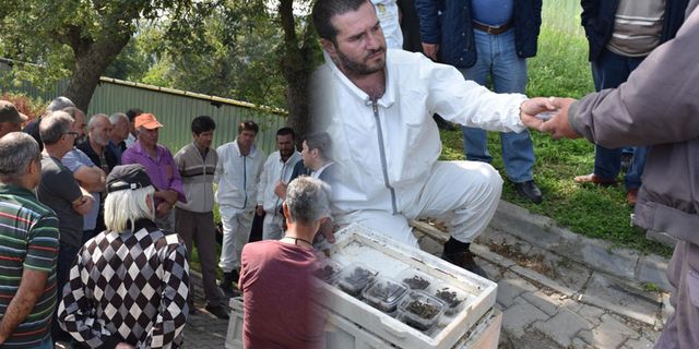 Balıkesir'de bal üreticilerine kraliçe arı dağıtımı