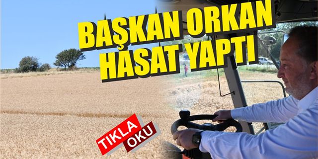 Karesi Belediyesinin buğdayları hasat ediliyor