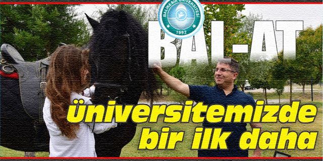 Cins Atlara Balıkesir'de Embriyo Transferi