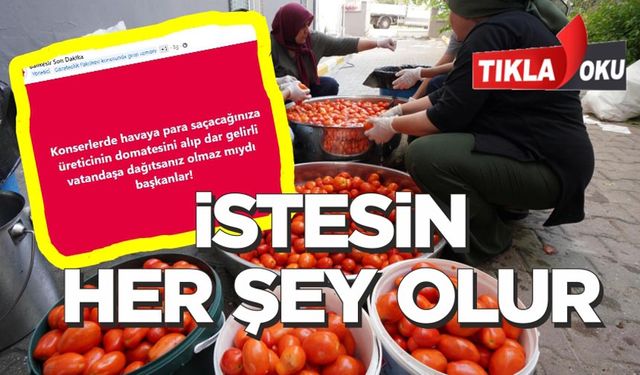 Tarlada kalan domatesi belediyeye bağışladı