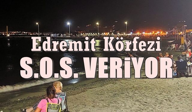 Cennet gibi Edremit Körfezinin içine sıçtınız! Tebrikler..