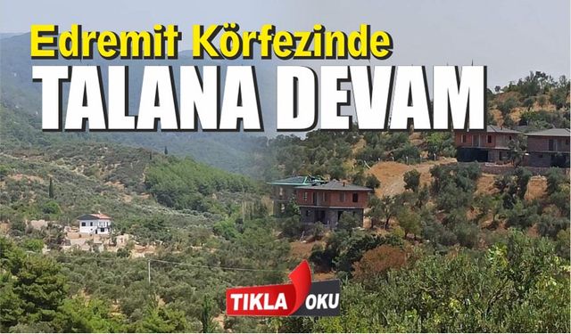 Milli Park eteğine, zeytinlik alana lüks villalar