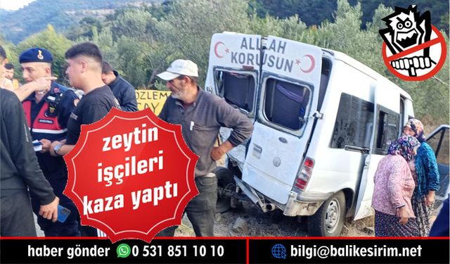 Zeytin işçilerini taşıyan minibüs kaza yaptı: 15 yaralı