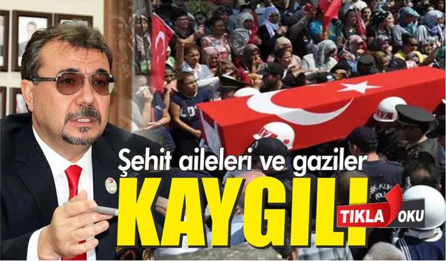 Şehit aileleri ve gaziler rahatsız: Uyuyan sinirlerimizi uyandırmasınlar