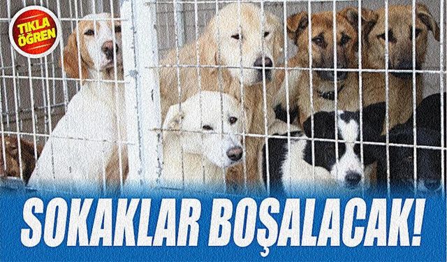 Balıkesir İl Hayvanları Koruma Kurulu toplandı