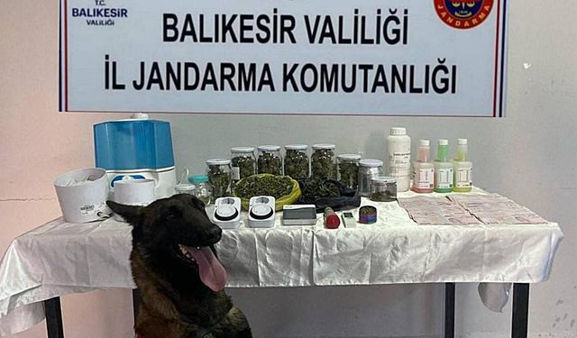 Balıkesir Jandarmasından zehir tacirlerine darbe
