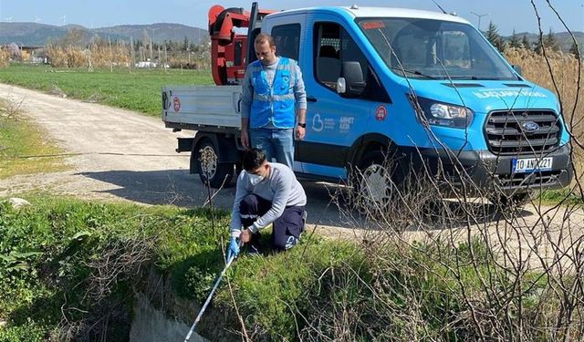 Tek bir sivrisinek görürseniz Büyükşehir'i arayın