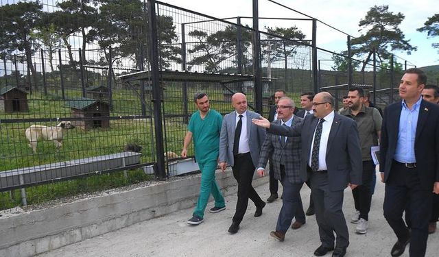Vali Ustaoğlu, Hayvan Barınağında inceleme yaptı