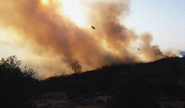 Altıeylül'de ciğerlerimizle birlikte canlarımız da yandı!