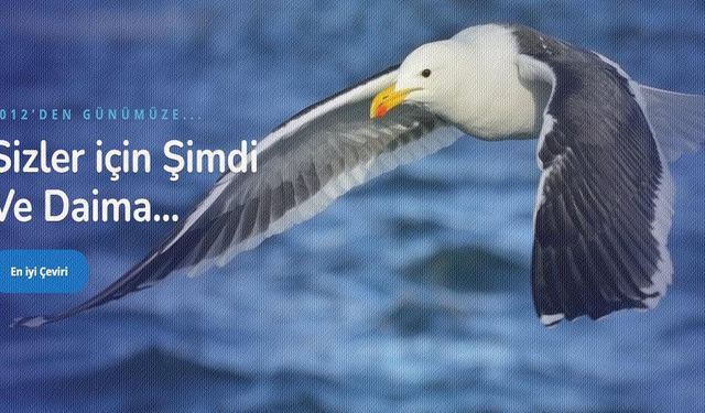 Türkçe Kırgızca Çeviri ve Türkçe Ukraynaca Çeviri