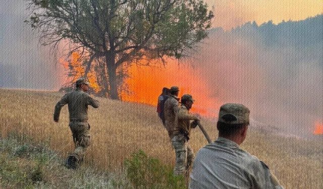 Balıkesir'deki orman yangınları: 6 gözaltı, 1 tutuklama