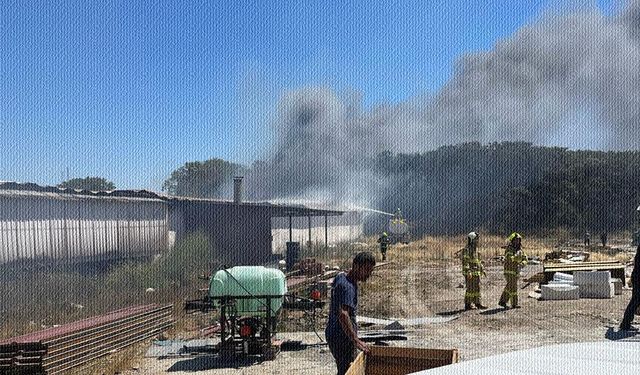 Balıkesir'de yumurta üretim tesisinde yangın