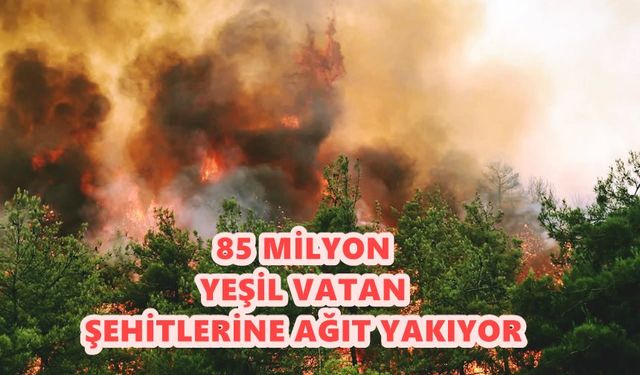 Yeşil Vatan için can veren 10 kahramana 85 milyonun ağıtı