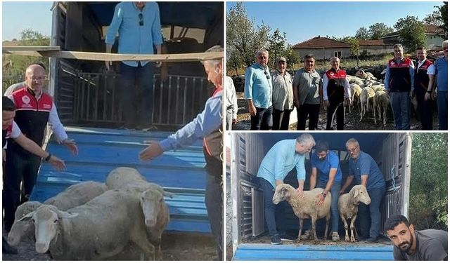 Depremde hayvanları telef olan çiftçilerin yüzü güldürüldü