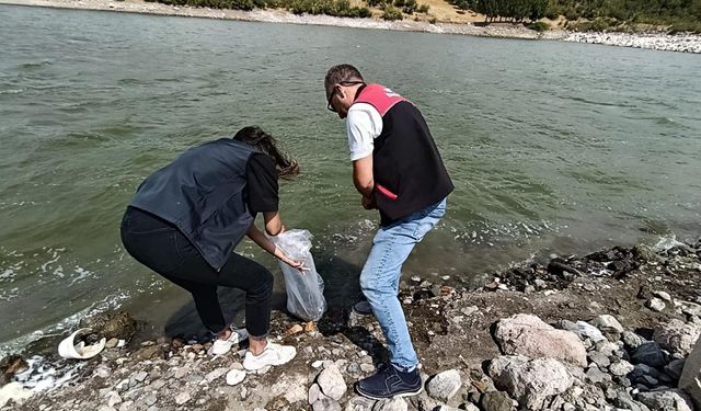 Balıkesir'deki göletlere yavru balık saldılar