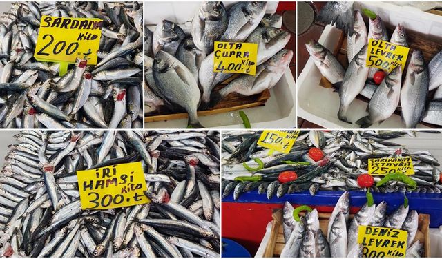 Balıkesir pazarlarında balık fiyatları cep yakıyor