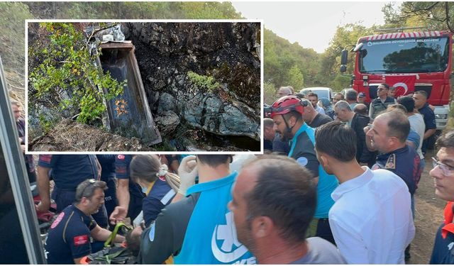 Kamyon Kazası Orman Yangınına Neden Oldu!