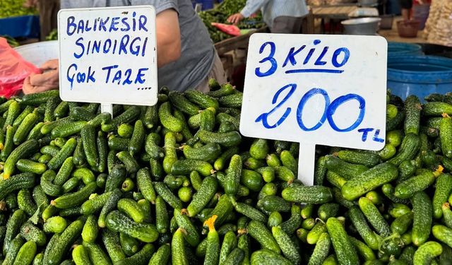 Kornişonun Başkenti Balıkesir'de ihracat 4 kat arttı