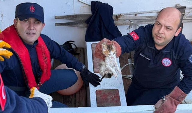 Ateşin Kahramanları bu kez kedi hayatı kurtardı