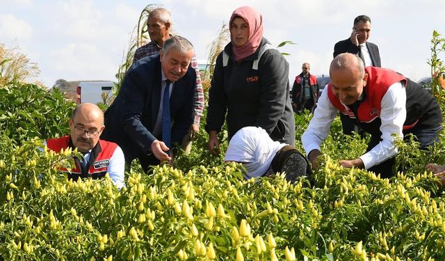 Vali Ustaoğlu, Kadın Çiftçiler Günü'nü böyle kutladı