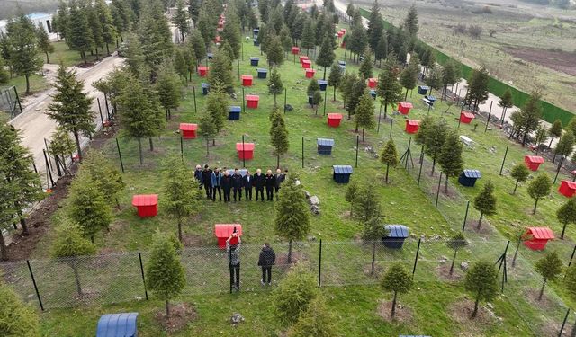 Altıeylül'de Can Dostlarına Modern Barınak Müjdesi