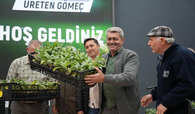 Gömeç Belediyesi 50 bin Enginar Fidanı dağıttı