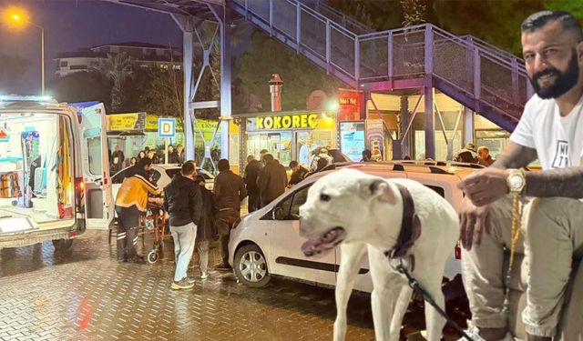 Kanlı Saldırının Çelik Yelekli Zanlıları Yakalandı