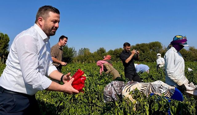 Balıkesirli Çiftçilere 867 Milyon TL’lik Tarımsal Destek