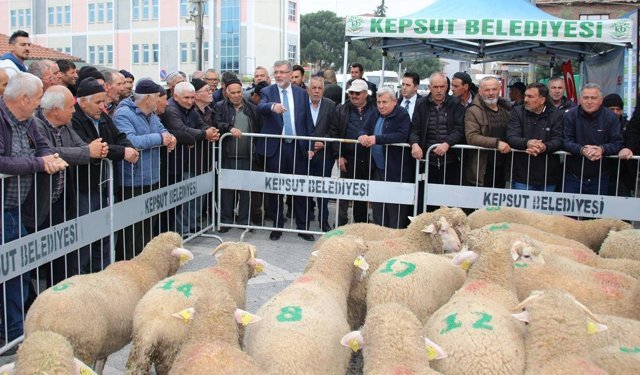 Kepsut Belediyesi’nden hayvancılığa güçlü katkı