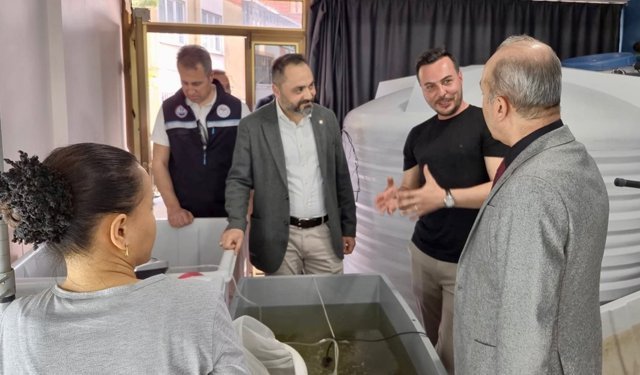 Balıkesir’de ilk: Deniz Patlıcanı yavrusu üretildi