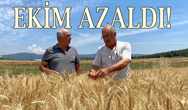 Bigadiç’te haşhaş ekim alanları 11 bin dönümden 700 dönüme geriledi