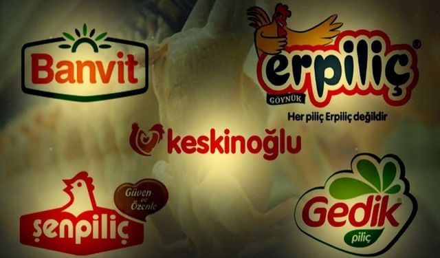 Beyaz Et Devlerine Dev Operasyon: 13 Şirkete Kayyım, 32 Gözaltı!
