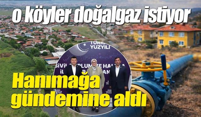MUHTARLAR DOĞALGAZ İÇİN ANKARA'YA ÇIKARMA YAPTI