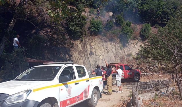 Balıkesir İtfaiyesi ile Orman ekipleri el ele söndürdü