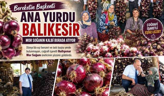 TÜRKİYE'DE TEK ERDEK'TE YETİŞİYOR