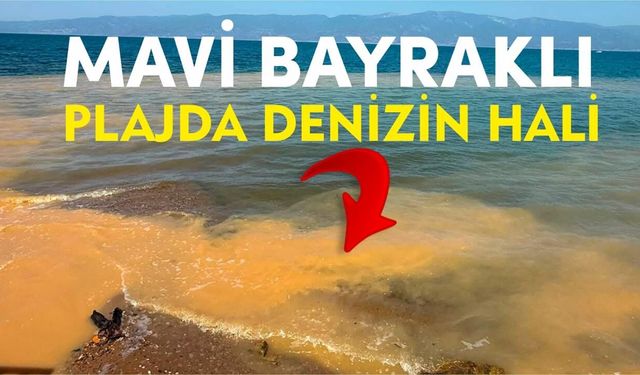 Burhaniye'de mavi bayraklı plajda kirlilik paniği
