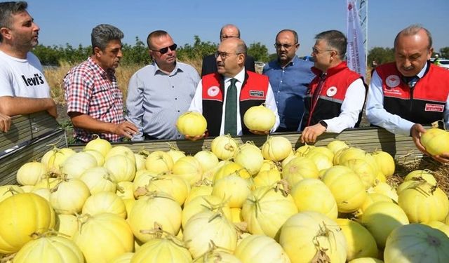 Bereketli toprakların eşsiz lezzeti tarladan toplandı