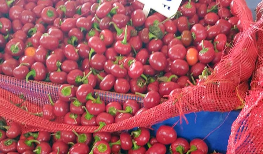 Domatesin fiyatı bir yıldır aynı seviyelerde.