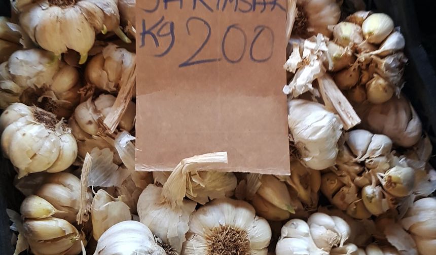 Sarımsak son yılların en yüksek rakamına ulaştı. 
