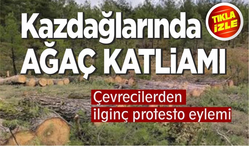 Kazdağları’nda maden için asırlık ağaçlar kesiliyor