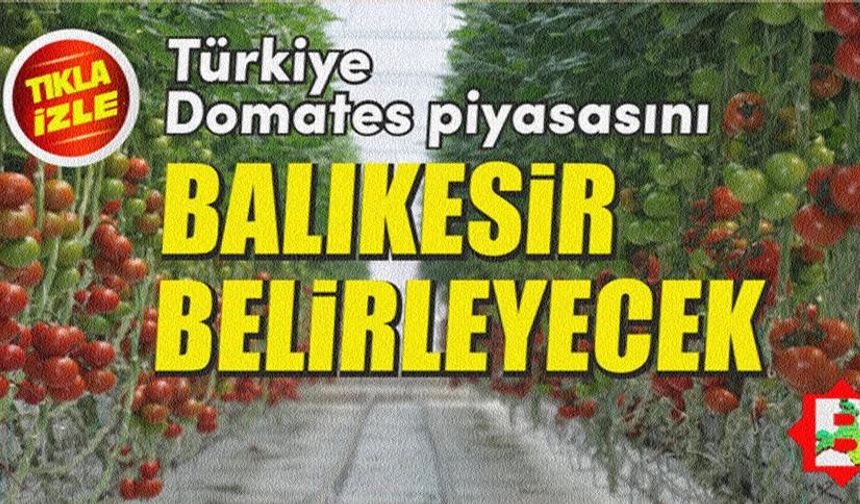 Dünyanın en büyük üretim üssü Balıkesir'e kuruluyor