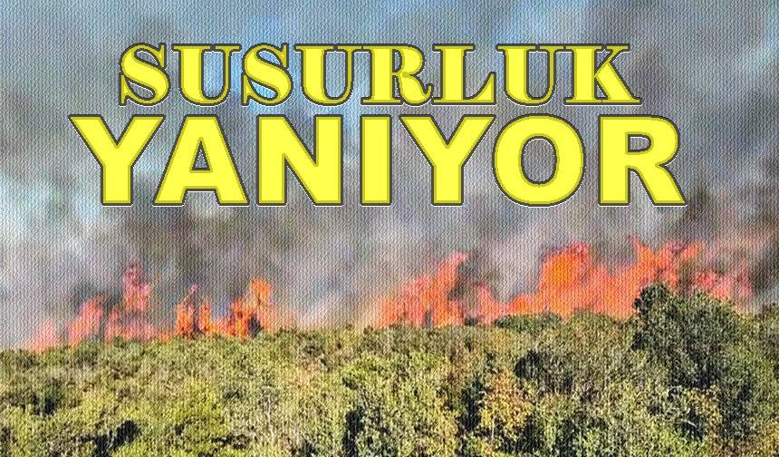 Susurluk'ta büyük yangın! Alevler her yeri sardı