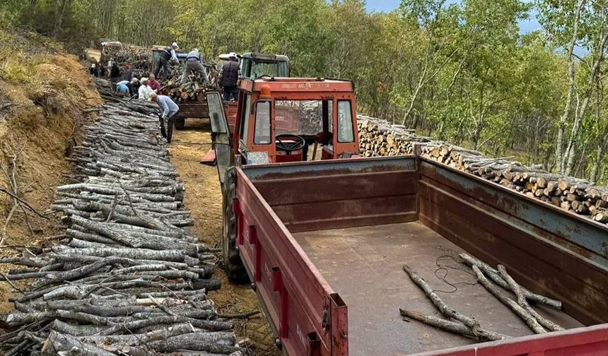 Balıkesir'de Orman Köylüsüne Yakacak Desteği