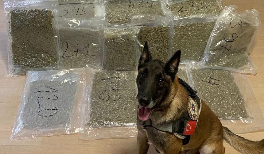 Balıkesir’de “BİNGO” Destekli Uyuşturucu Operasyonu