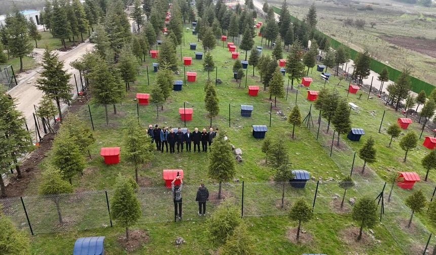 Altıeylül'de Can Dostlarına Modern Barınak Müjdesi