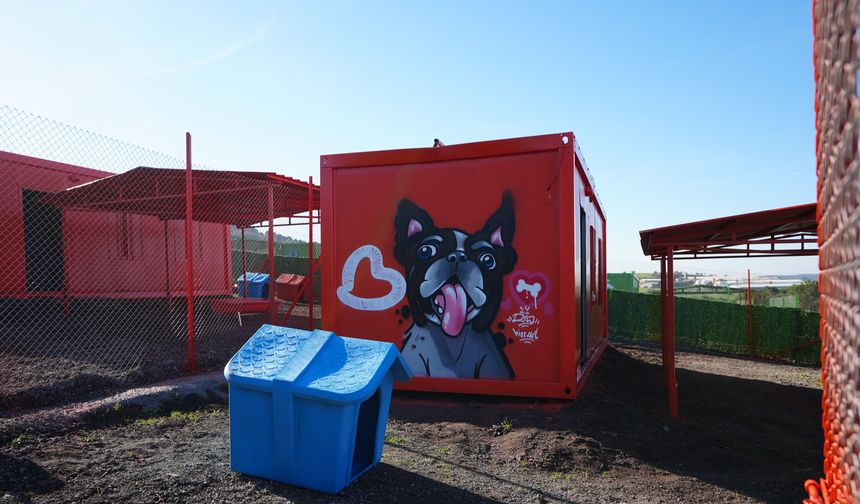 Balıkesir’den Türkiye’ye örnek proje