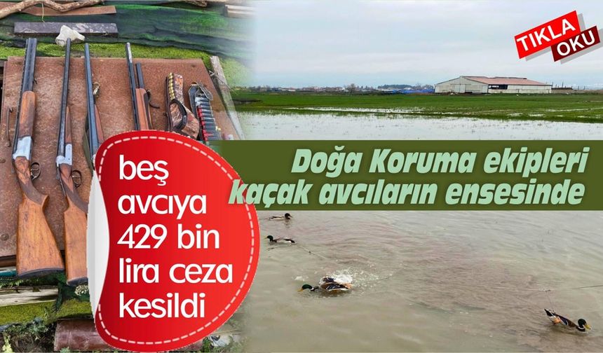 Balıkesir Altıeylül’de Kaçak Avcılığa Büyük Darbe
